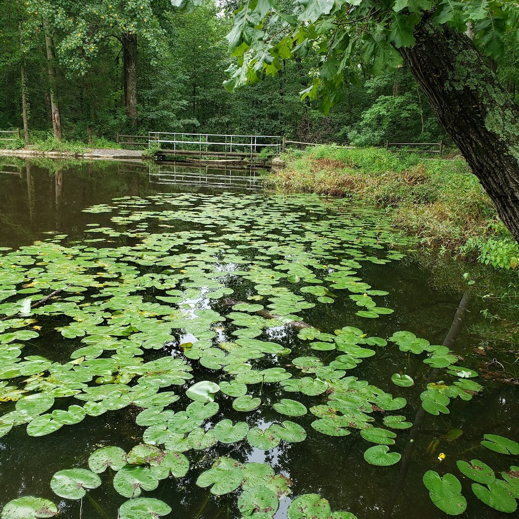 Lake Mathilde 1
